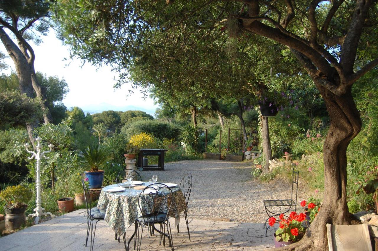 Magnifique Gite de la Garoupe au Cap d'Antibes à 300m des plages Extérieur photo